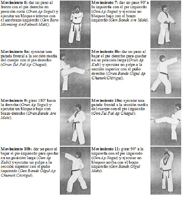 Técnicas principales del taekido 185397